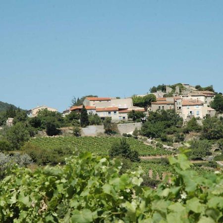 Cecile Villa Montgaillard  Exteriör bild