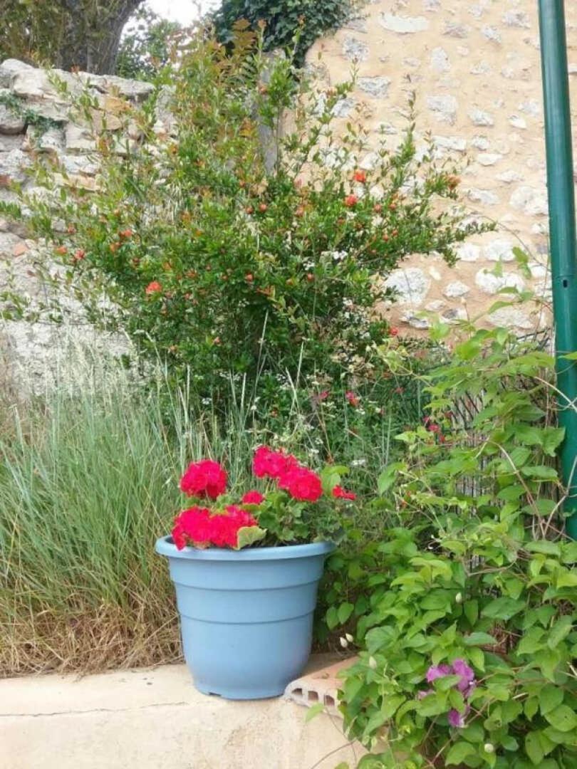 Cecile Villa Montgaillard  Exteriör bild